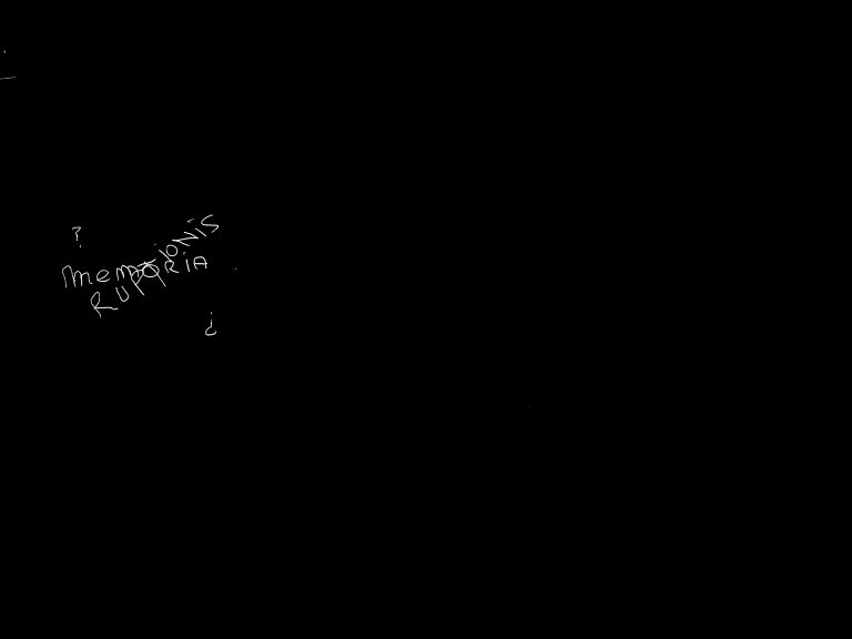 Memoria Ruptionis (2021 – 2022)